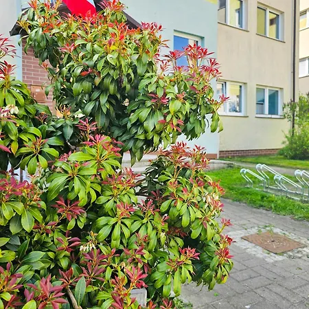 Apartment Visit Baltic - Malczewskiego Ml8 Z 2-sypialniami Swinoujscie