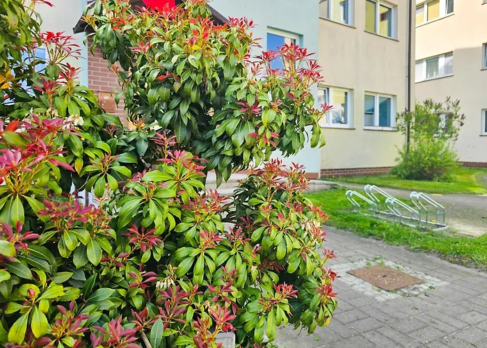 Appartement Visit Baltic - Malczewskiego Ml8 Z 2-sypialniami Świnoujście